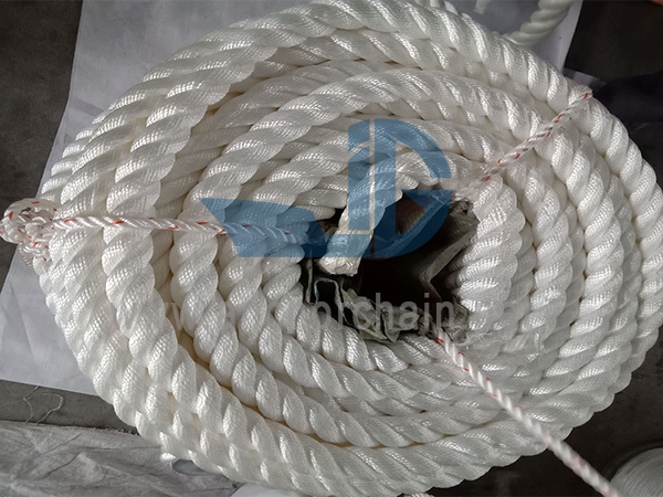 6 Strand Tali Poliamida