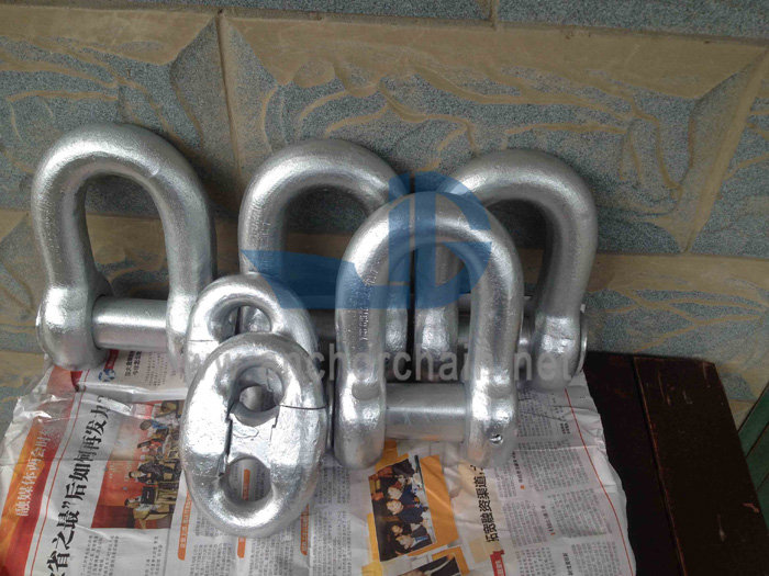 Jangkar Shackle