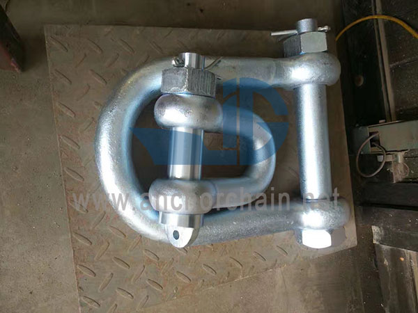 D Tipe Alloy Shackle CB3061