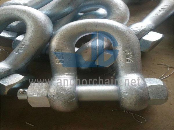 D Tipe GB559 Ship Shackle