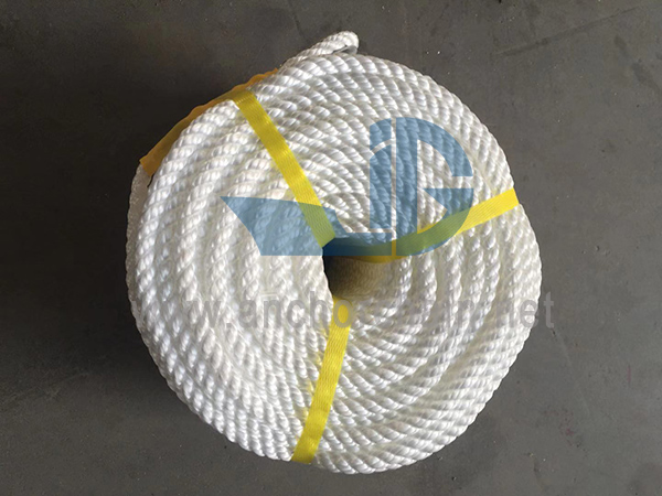 Nylon Single Filament 6 Ply