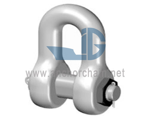 Tipe D15 Dee Safety Pin Shackle